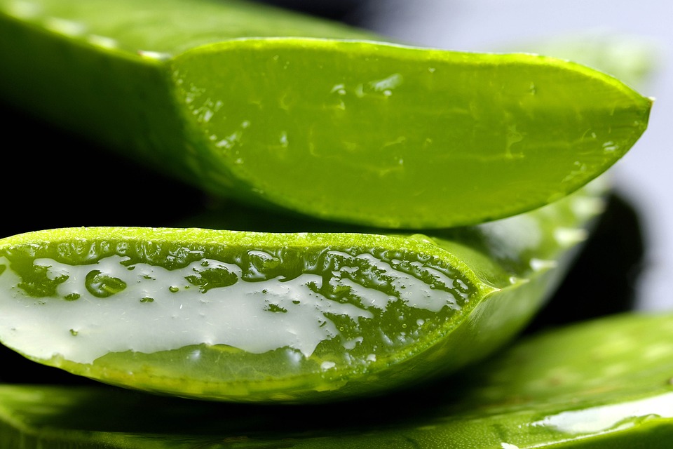 Účinky Aloe first